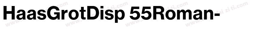 HaasGrotDisp 55Roman字体转换